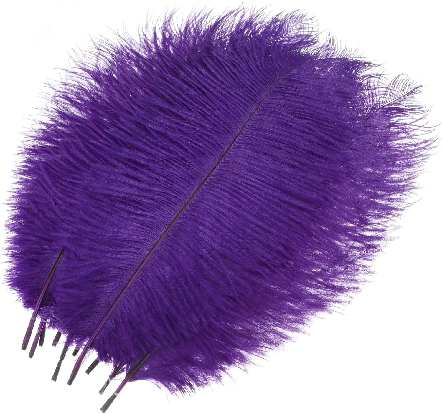 Efavormart 12 Pack | 13"-15" Black Natural Plume Real Ostrich Feathers ...