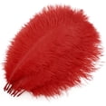 thumbnail image 1 of 10 Pack Natural Ostrich Feathers, 10-12 in (25-30 cm) Crafts DIY Plume Feather for Centerpieces Home Wedding Party Table Decoration - Red, 1 of 7