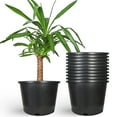 thumbnail image 1 of 10 Pack Nursery Pots 10 Gallon Garden Planter Plastic Seedling Pots Flower Plant Container for Succulents, Seedlings, Cuttings, Transplanting, 1 of 8