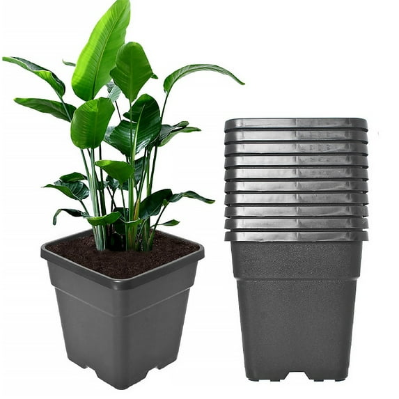 10 Pack Nursery Pots 10 Gallon Garden Planter Plastic Sqaure Seedling Pots White Flower Plant Container for Succulents, Seedlings, Cuttings, Transplanting, Black