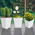 thumbnail image 1 of 10 Pack Nursery Pots White 1 Gallon Garden Planter Plastic Square Seedling Pots White Flower Plant Container for Succulents, Seedlings, Cuttings, Transplanting, 1 of 8