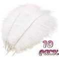 thumbnail image 1 of 10 Pack Ostrich Feathers, 10-12 in (25-30 cm) White Crafts DIY Plume for Centerpieces Home Wedding Party Table Feather Decoration, 1 of 7