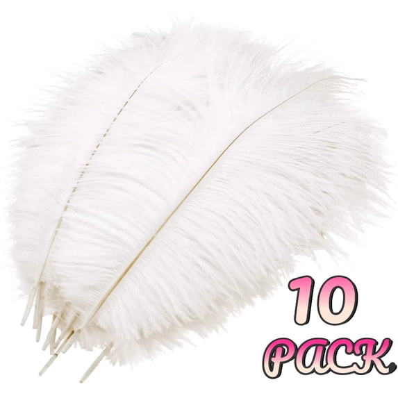10 Pack Ostrich Feathers, 10-12 in (25-30 cm) White Crafts DIY Plume for Centerpieces Home Wedding Party Table Feather Decoration