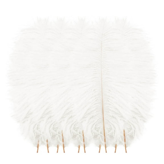 10-Pack Ostrich Plume Set, 7.87-9.84 inch (20-25cm) Natural Ostrich Feathers for Wedding Centerpieces Home Decoration, Floating Diy Craft Feathers for Photo Backdrops Arrangement(White,8x1")
