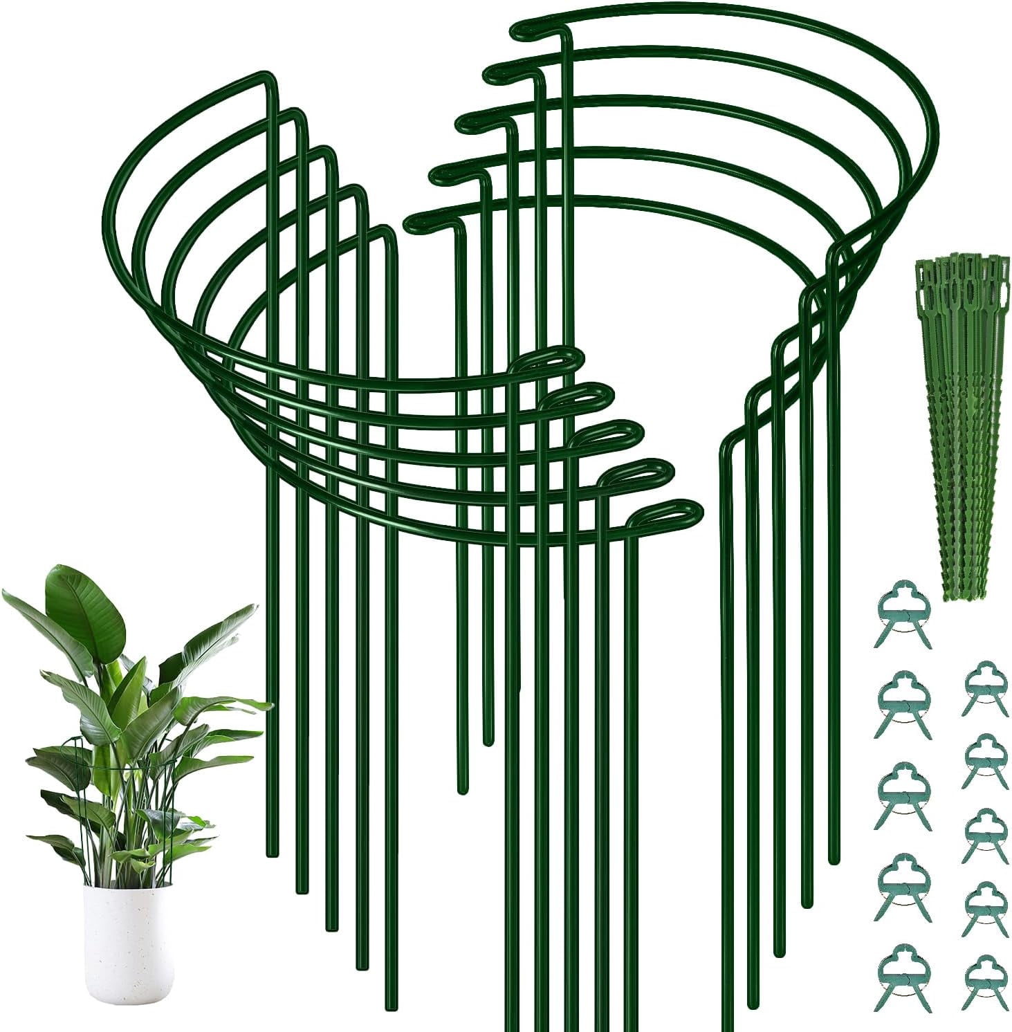 10 Pack Plant Support Stakes, 10" (W) x 16"(H) Half Round Heavy Duty ...