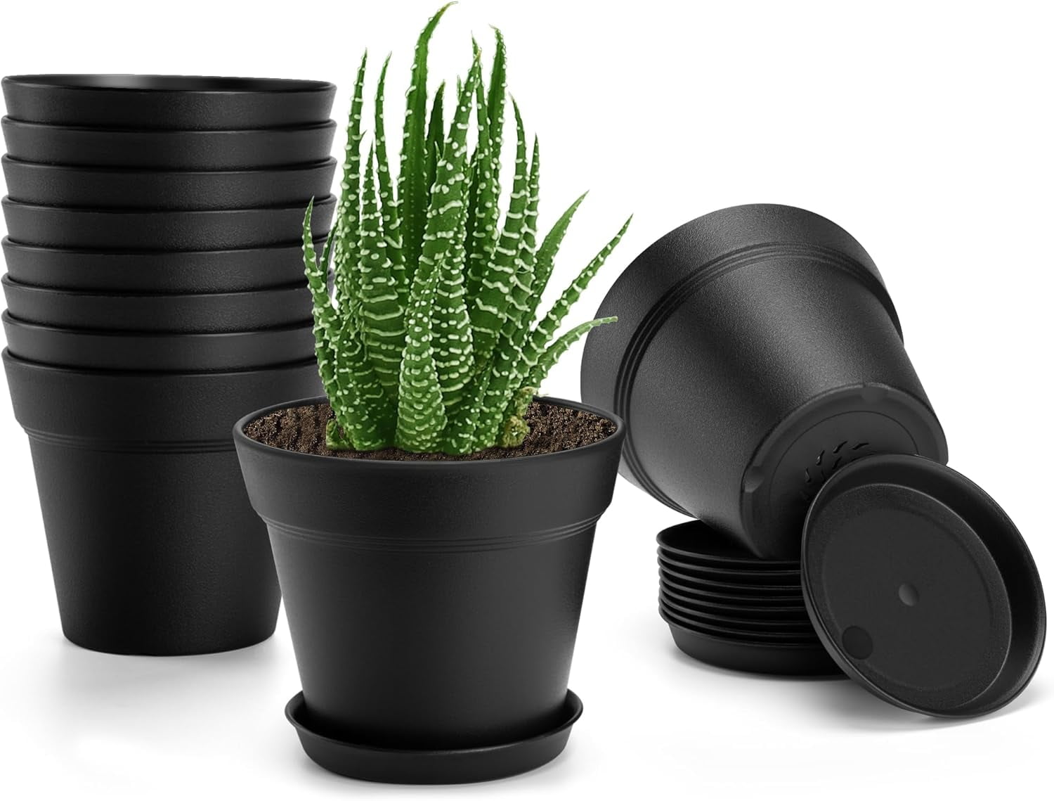 10 Pack Plastic Plant Pots with Drainage Holes and Tray, 5 inch ...