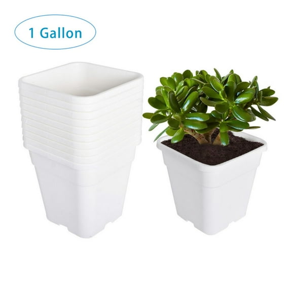 10 Pack Plastic Plant Pots Seedling Cups, 1 Gallon Plant Container Square Nursery Pots Fit for Seeds Germination, Seedlings Growing, Succulents Planting, Seeds Starting, White