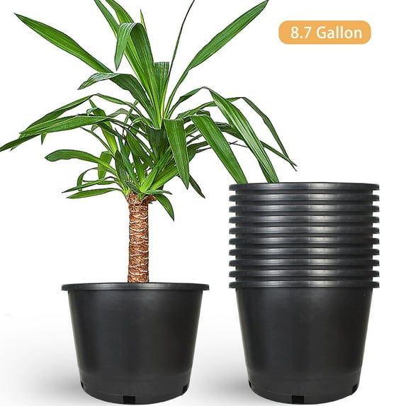 10 Pack Plastic Plant Pots Seedling Cups Plant Container Nursery Pots Fit for Seeds Germination, Seedlings Growing, Succulents Planting, Seeds Starting, Black