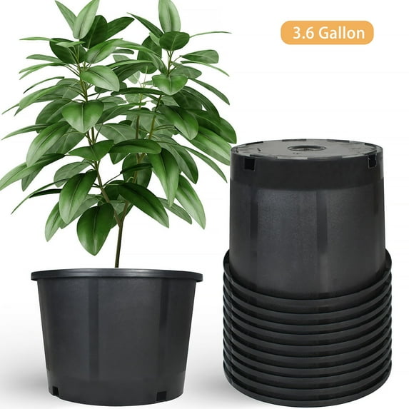 10 Pack Plastic Plant Pots Seedling Cups Plant Container Nursery Pots Fit for Seeds Germination, Seedlings Growing, Succulents Planting, Seeds Starting, Black