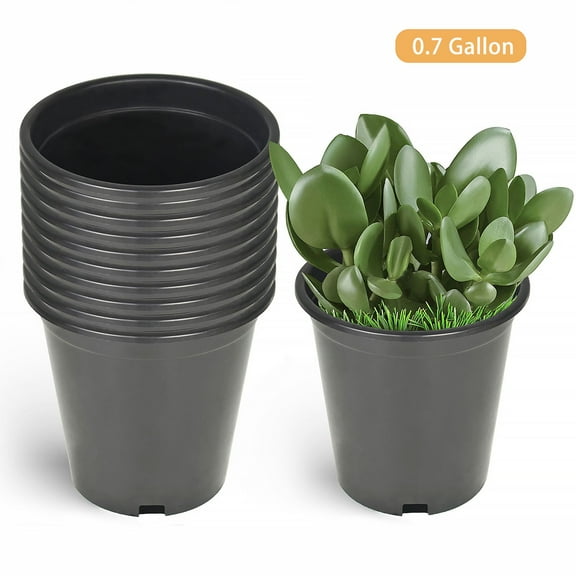 10 Pack Plastic Plant Pots Seedling Cups Plant Container Nursery Pots Fit for Seeds Germination, Seedlings Growing, Succulents Planting, Seeds Starting, Black