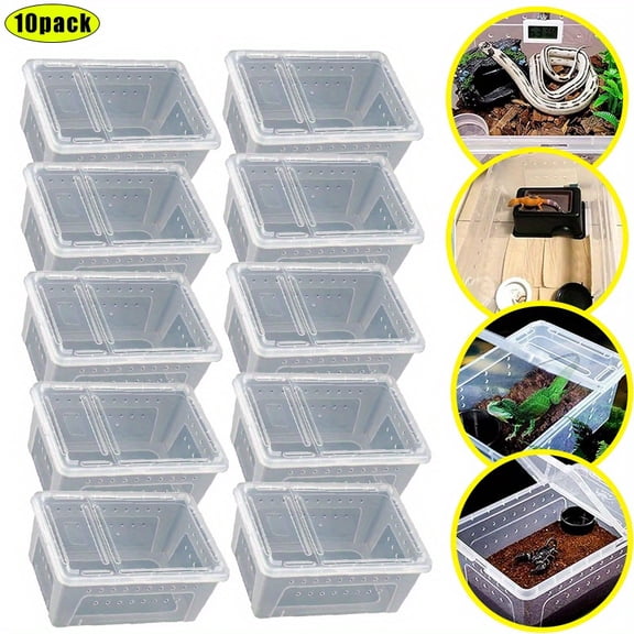 10-Pack Reptile Feeding Boxes, Small Plastic Terrarium Containers with Ventilation for Insect Breeding & Pet Feeding