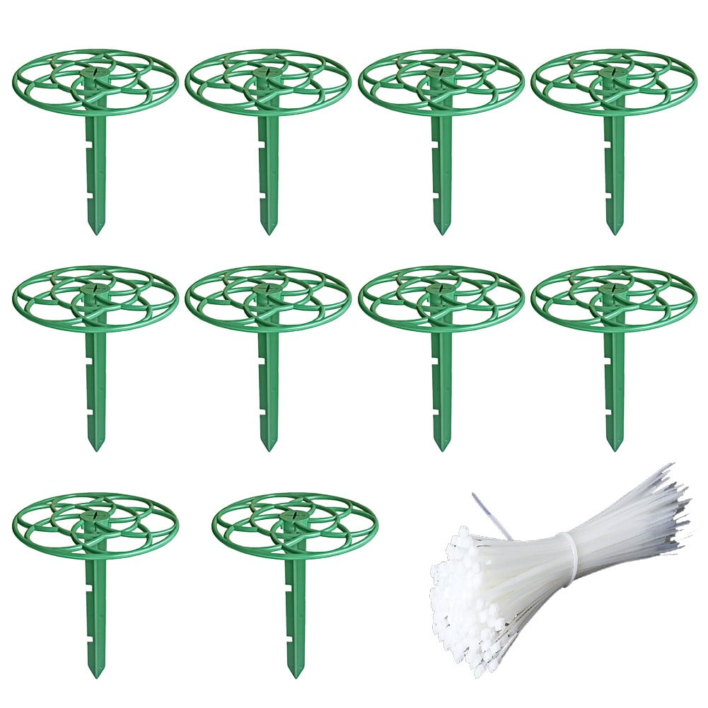 10 Pack Strawberry Plant Support -Strawberry Growing Racks for Keeping Clean