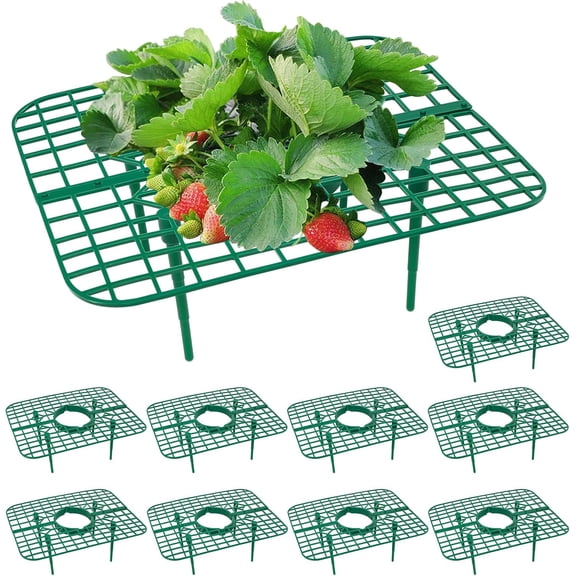 10 Pack Strawberry Plant Support, Strawberry Planting Stand, Keeping Strawberry Plants Clean, Strawberry Growing Racks, Strawberry Growing Frame