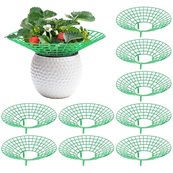 10 For Pack Strawberry Support Stand Plastic Plant Rack For Strawberries Tomatoes Herbs Garden Vertical Growing Frame Keeps Fruit Off Ground Enhances Air Circulation Sunlight Exposure Snail