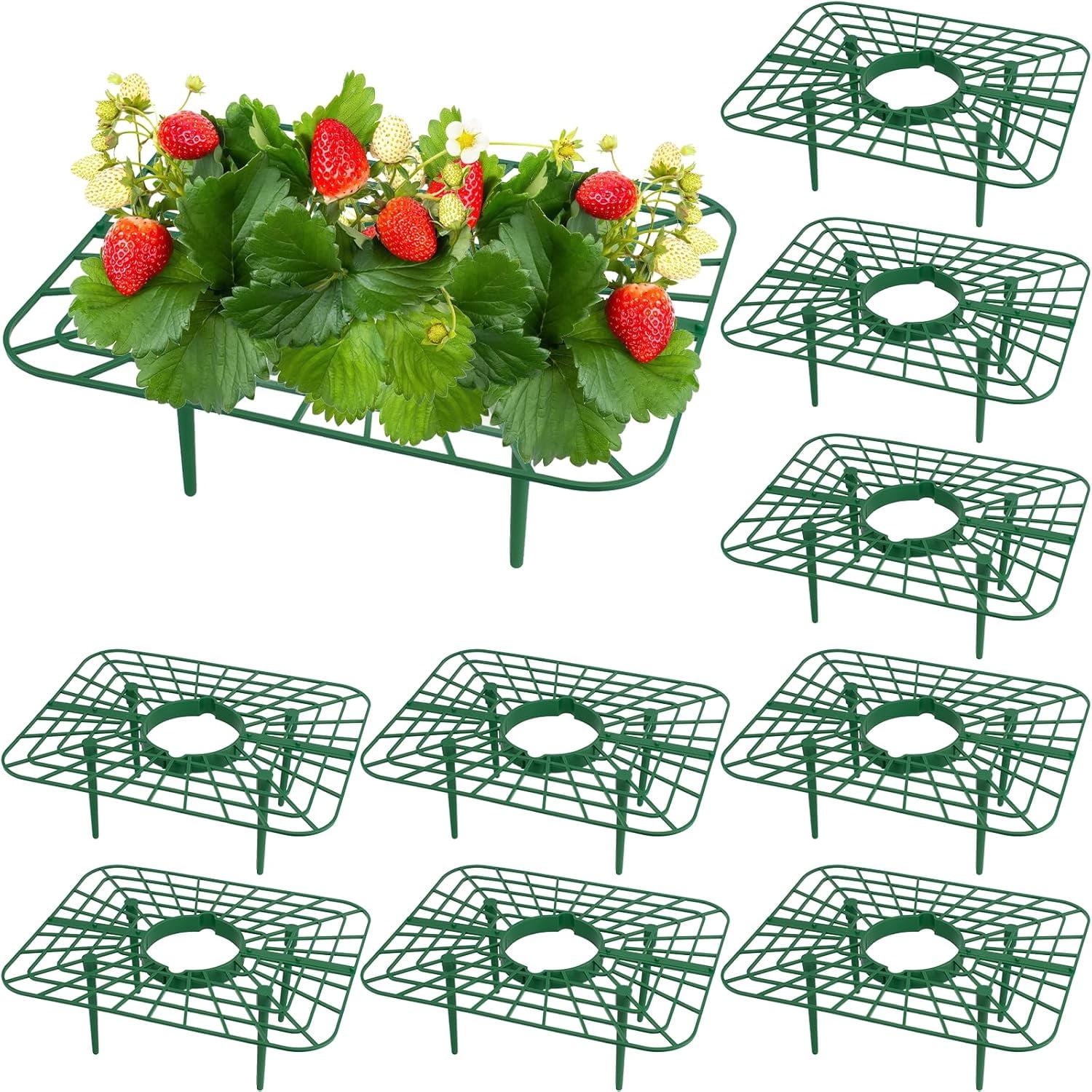 10 Pack Strawberry Supports - Strawberry Plant Support Stand Strawberry Growing Racks Protector Strawberry Growing Frame Holder Cage Helps Support and Prevent Rotting (Green)