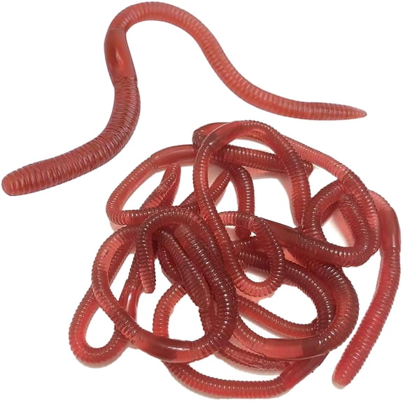 10 Pack Stretchy Earthworms Realistic Wriggling Soft Rubber Novelty for Prank Party Favors, Adult Gag Gift Sensory Fidget Activity for Humor and Fun
