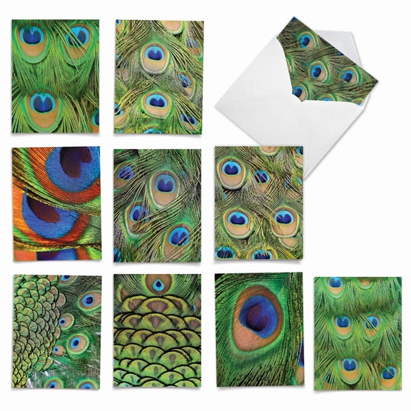 The Best Card Company 10 Assorted Thank You Notes Set 4x5.12 w/ Envelopes, 10x1 Designs, for Men, Women, Fancy Feathers M3003