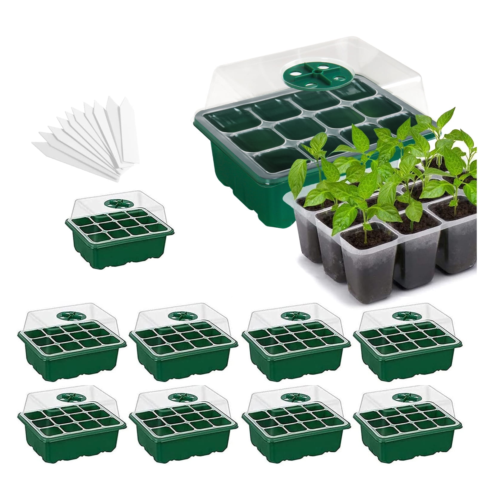 Green Plastic Seed Starter Tray Kit with Humidity Dome