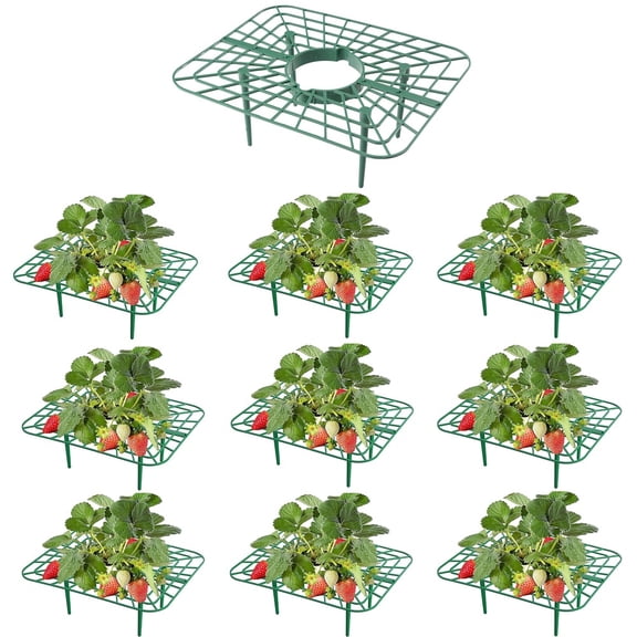 10 Packs Square Strawberry Supports-Strawberry Growing Racks- Plant Support Strawberry Stand Holder Growing Frame Keep Berries Clean (Square 10PCSOnly the bracket)