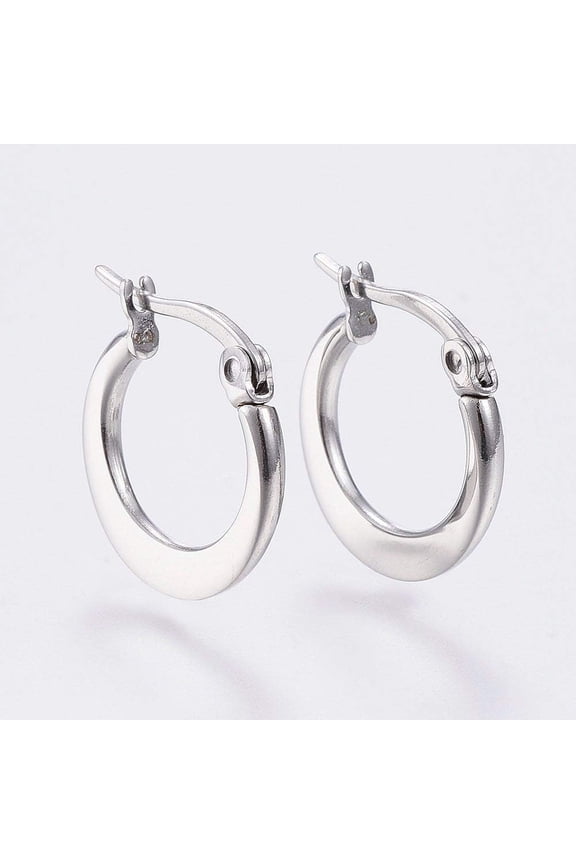 10 Pairs 304 Stainless Steel Hoop Earrings 15mm Earrings Small Hoop Sliver Black Sleeper Earrings For Women Men Stainless Steel Color