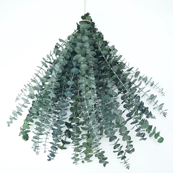 10 Pcs 17" Preserved Eucalyptus Shower & Decor Stems - Natural Aromatherapy Branches for Spa, Vase Fillers, Wedding, and Home Decoration