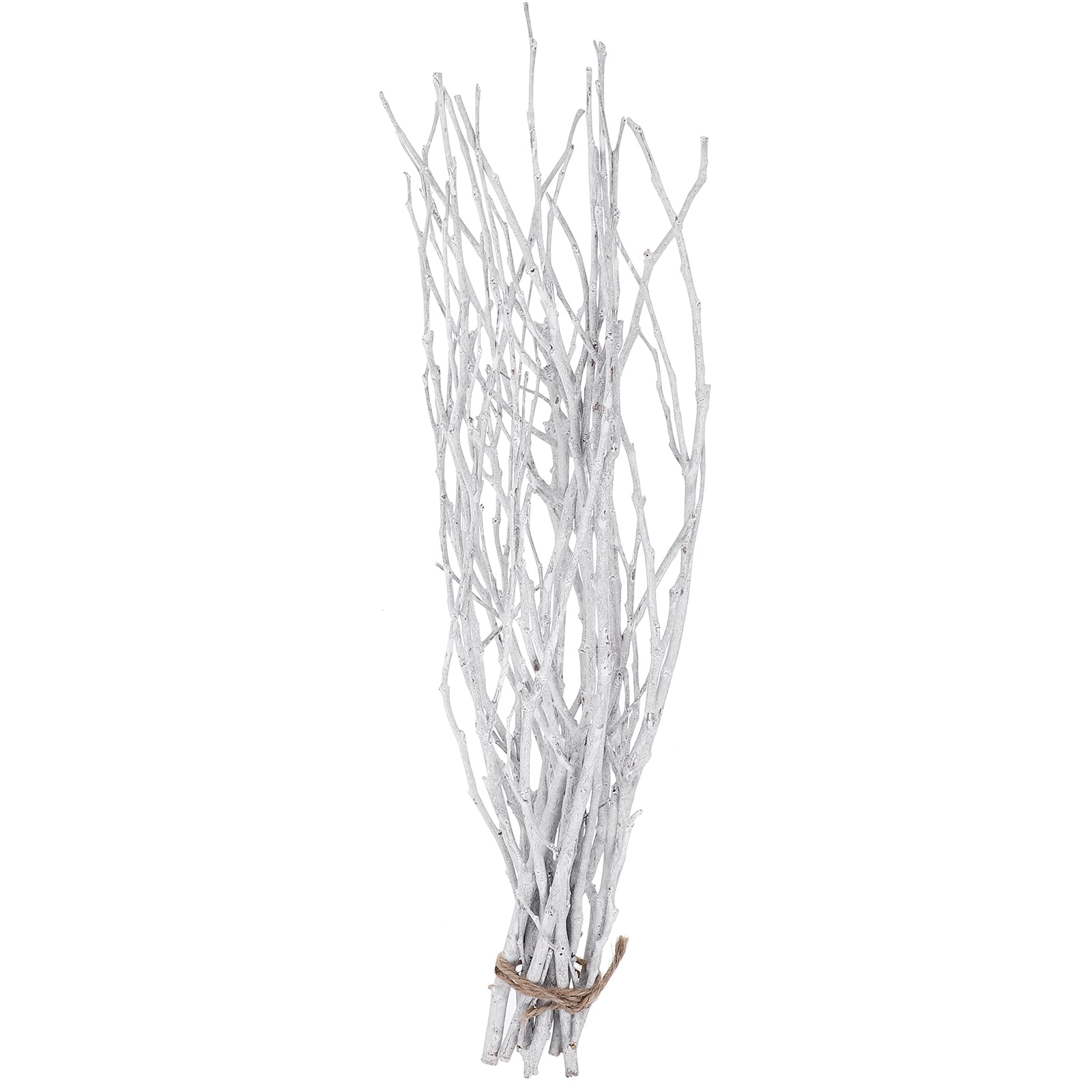 10 Pcs 50 Cm Dried Twigs Indoor Plants Decorative Sticks for Vases Tall