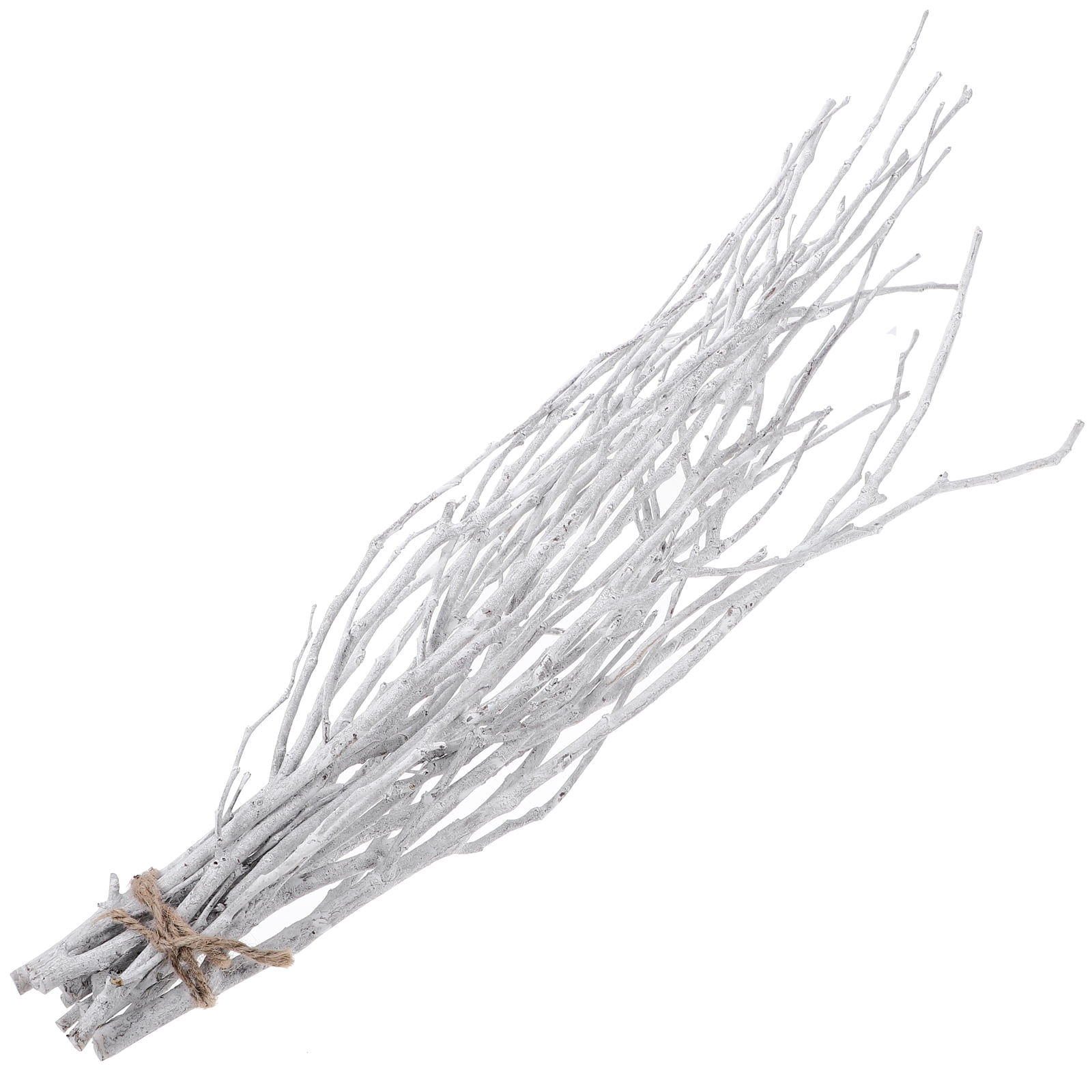 10 Pcs 50 Cm Dried Twigs Tree Branch Vase Fillers for Centerpieces Indoor Plants Goblincore Room