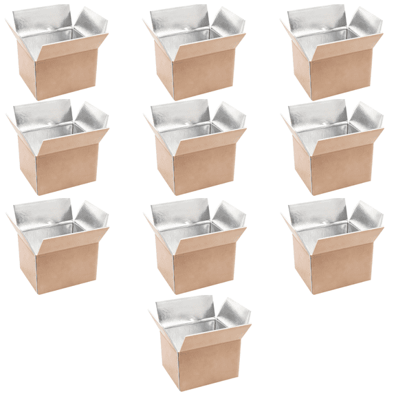 10 Pcs Aluminum Foil Lined Shipping Boxes, Kraft Paper Cold Food Shipping Box, Insulated Shipping Boxes for Seafood, Fruits, Vegetables