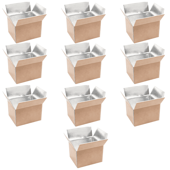 10-Pack Insulated Shipping Boxes, Aluminum Foil Lined Kraft for Perishable Goods, Cold Food Packaging for Seafood, Meat, Produce, 10 Count Bulk