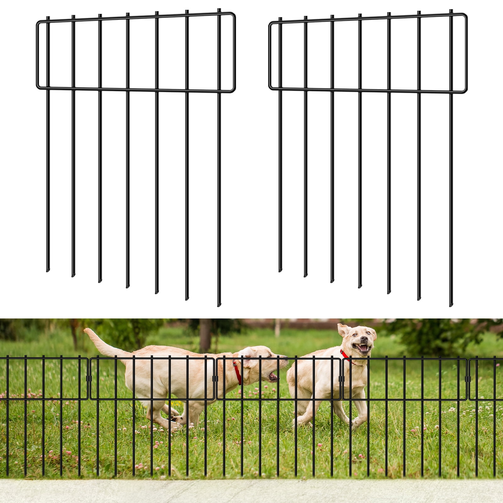 Beautiful view of Dog Fences With No Visible Wire