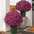 thumbnail image 1 of 10 Pcs Artificial Fall Flowers, Lifelike Fake Silk Mums, UV Resistant Artificial Flowers, Fake Daisy Bouquets, Waterproof Vibrant Floral Picks, Fake Flowers for Outdoor Porch Home Decor, 1 of 5