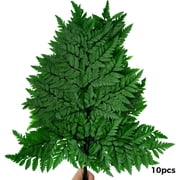 10 Pcs Artificial Fern Leaves, 15.7 in / 40 cm Faux Green Ferns for Flower Arrangements, Wedding Garlands, Lush Greenery for Home Decorations, No Watering Needed
