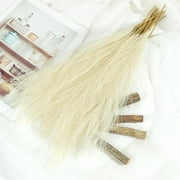 10 Pcs Artificial Pampas Grass Plant,Faux Dried Pampas Grass Stems Fake Flower Fluffy Reed Bouquet Reed Grass Decor,Dried Flower Arrangements for Wedding Holiday Party Boho Home Decor