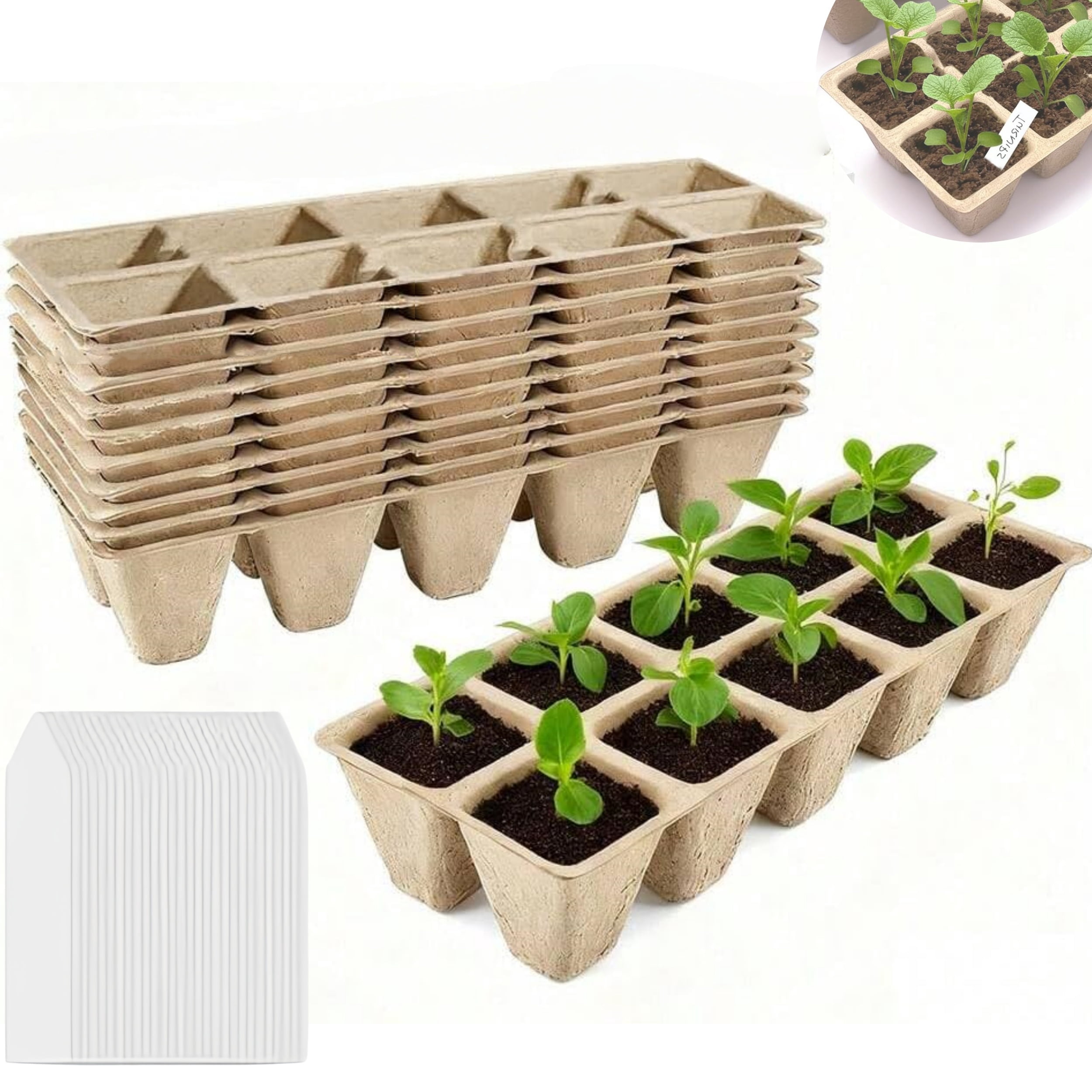 10 Pcs Biodegradable Seed Starting Trays with 100 Plant Labels ...