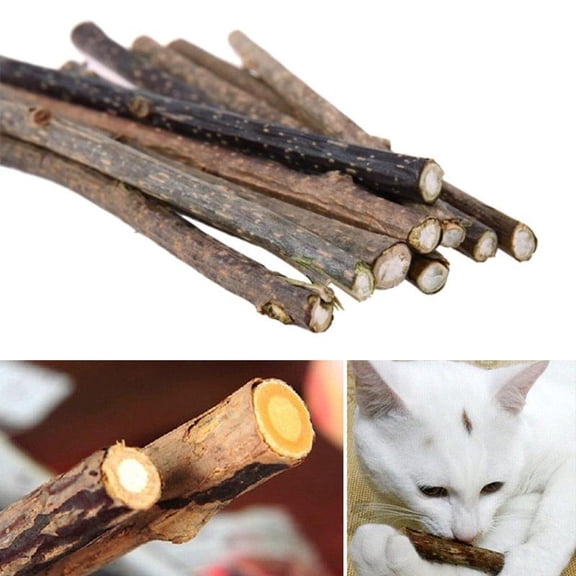 10 Pcs Catnip Sticks, Cat Toys, Cat Chew Sticks, Catnip-Free Dental Toys for Kittens, Healthy Teeth Cleaning & Stress Relief, Exciting Toys for Feline Fun