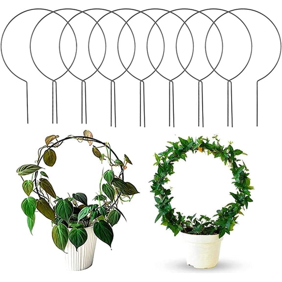 10 Pcs Circle Indoor Plant Trellis for Potted Plants, 10 Inch Small Hoya Trellis for Climbing Plants, Vines, Topiary Frames