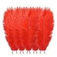 thumbnail image 1 of 10 Pcs Colourful Plumage for Wedding Party Flower Arrangement Home Decoration Diy Middle Floating Plume for Hair Clothing Craft Decoration Plumage, DIY Crafts Home Party Decoration(Orange,8x1"), 1 of 8