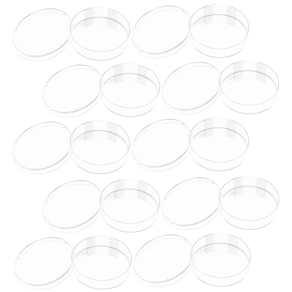 10 Pcs Culture Plate Culture Petri Dishes Petri Dish for Students