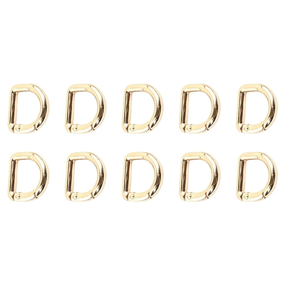 10 Pcs D Rings Carabiner Clip Easy to Use Metal Keychain Spring D Rings Hook