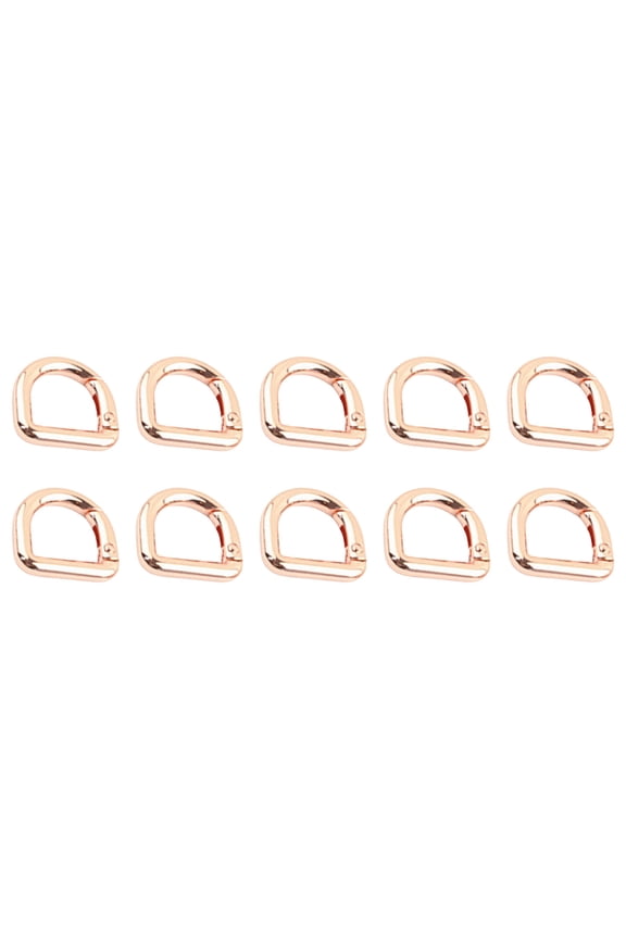 10 Pcs D Rings Carabiner Clip Easy to Use Metal Keychain Spring Hardware Accessories D Rings Hook