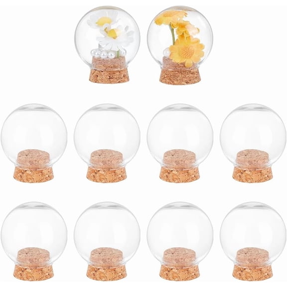 10 Pcs Decorative Jars Display Case 1.77x2.05 Inch Round Glass Display Dome Clear Dome Cloche with Cork Base for Specimen Plants