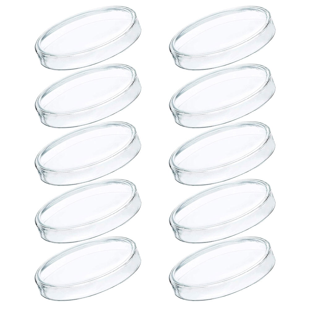 10 Pcs Disposable Petri Dish Brackets Plates Laboratory Tray Agar Chemistry Holder with Lid