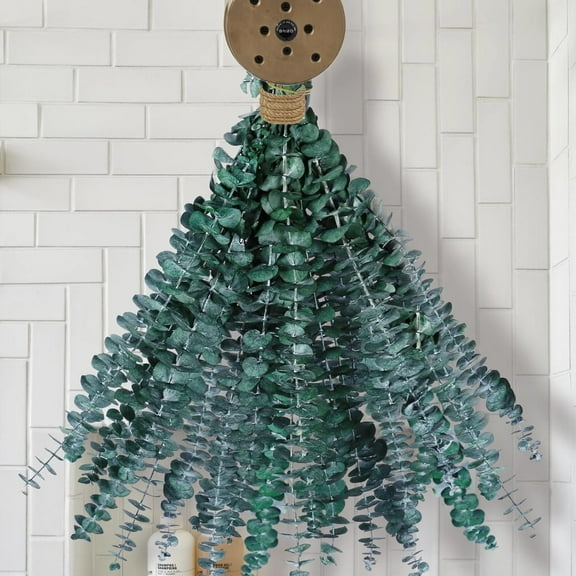 10 Pcs Dried Eucalyptus Stems for Shower Hanging 17" Real Preserved Eucalyptus Plant Fresh Eucalyptus Branches Leaves Eucalyptus Bundle for Wedding Home Bathroom Farmhouse Decor DIY Spring Decor