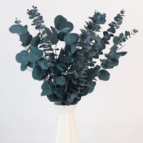 10 Pcs Dried Preserved Eucalyptus for Shower ,17" Real Natural Fresh Hanging Eucalyptus Stems,Real Eucalyptus Leaves Branches for Vase Filler,Bathroom,Wedding,Dried Flowers Arrangement Decor