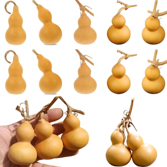 10 Pcs Mini Dried Gourds for Crafts,Natural Bottle Gourds for Home Decor,Car Interiors,Office Desktop Decorations(1.57-2.76in)