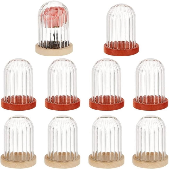 10 Pcs Mini Glass Dome 1.51" in Diameter Glass Display Dome Glass Cloche Dome Clear Glass Display Dome with 2 Colors Wood Base for Centerpieces Plants Rocks Specimens Decorations Crafts diy