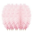 thumbnail image 1 of 10 Pcs Multicolor Plumage, Colorful Ostrich Plumes, Wedding Wall Decoration, Feather Ornament, Popular Wall Art Decor, Party Layout Accessory, Home Aesthetic Craft Embellishment (Pastel Pink), 1 of 3