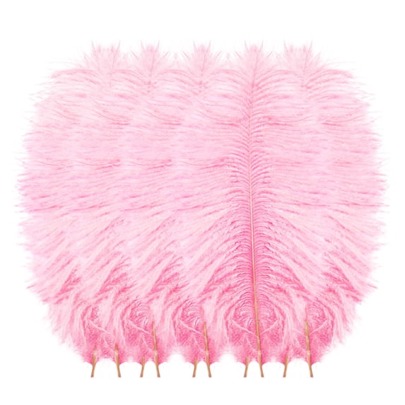 10 Pcs Multicolor Plumage, Colorful Ostrich Plumes, Wedding Wall Decoration, Feather Ornament, Popular Wall Art Decor, Party Layout Accessory, Home Aesthetic Craft Embellishment (Pink)