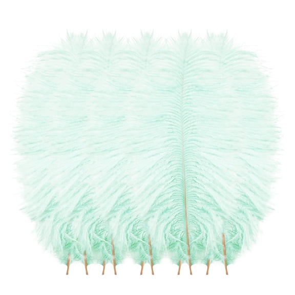 10 Pcs Multicolor Plumage, Colorful Ostrich Plumes, Wedding Wall Decoration, Feather Ornament, Popular Wall Art Decor, Party Layout Accessory, Home Aesthetic Craft Embellishment (Mint Green)