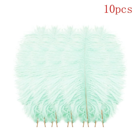 10 Pcs Multicolor Plumage Feathers for Wedding Party Centerpieces Diy Hair Craft Decoration Home Decor, C